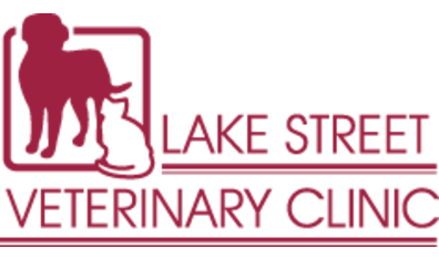 Lake Street Veterinary Clinic-HeaderLogo